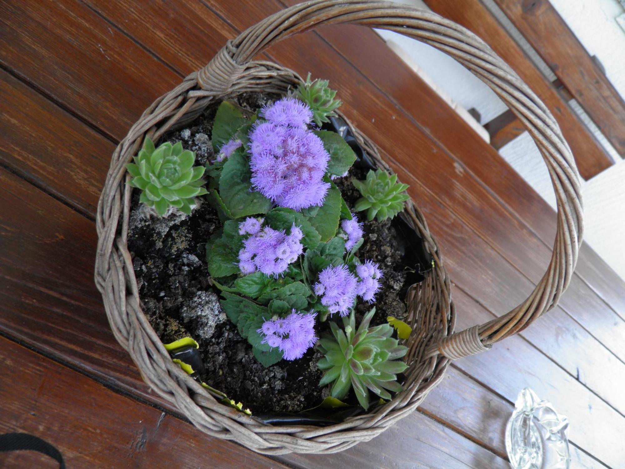 House Janja Plitvice 호텔 셀리스테 드레즈니크 외부 사진