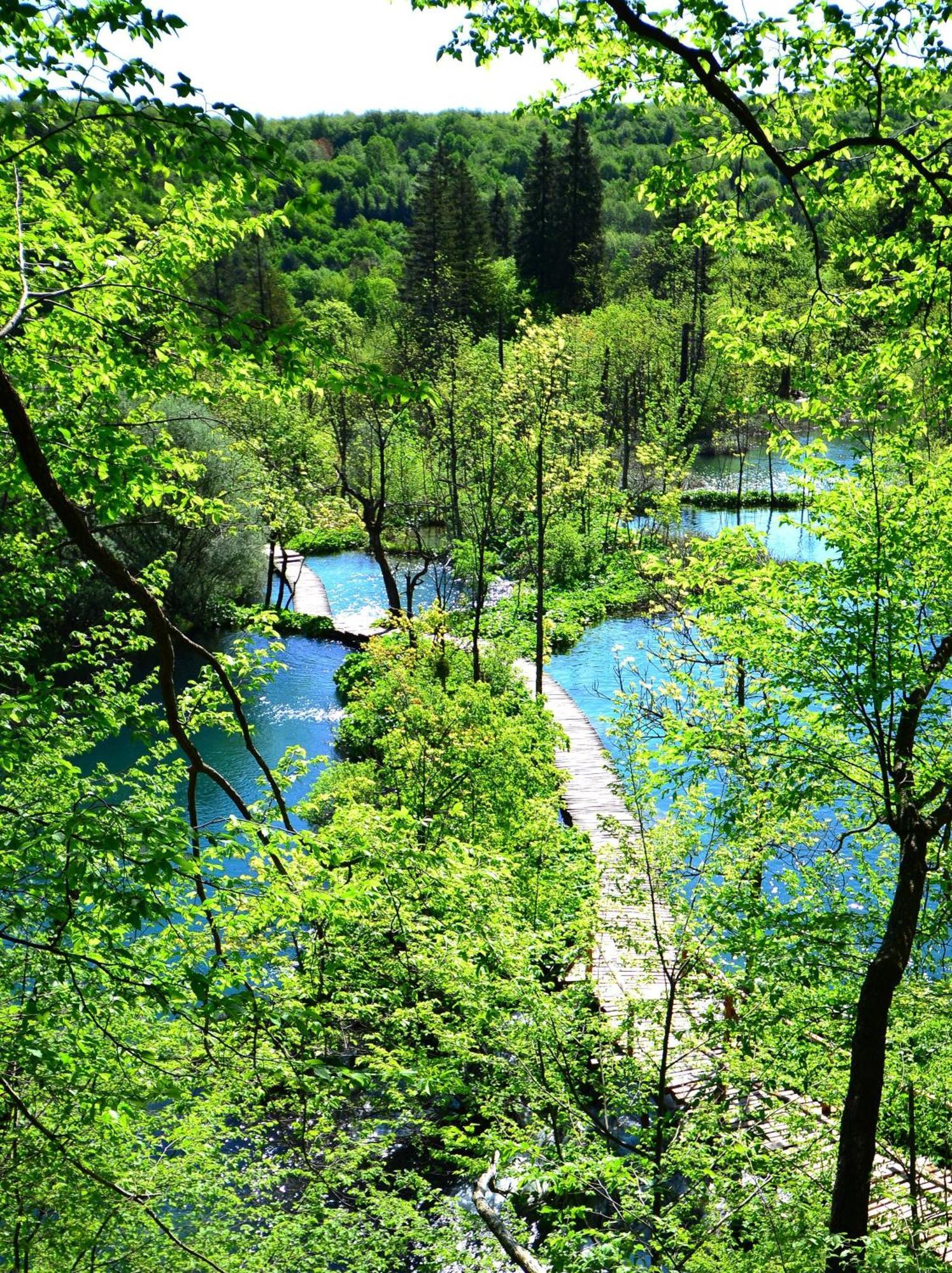 House Janja Plitvice 호텔 셀리스테 드레즈니크 외부 사진